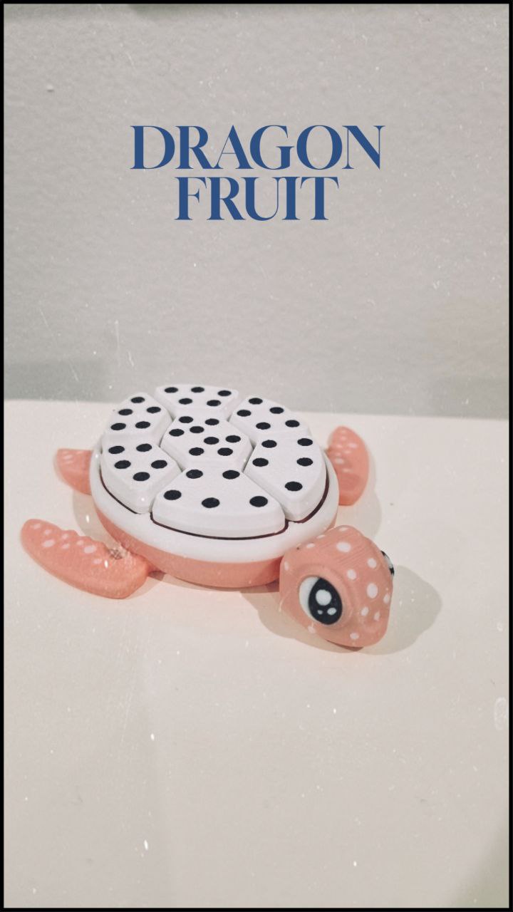 Turtle Fidget Clickers and Keychains