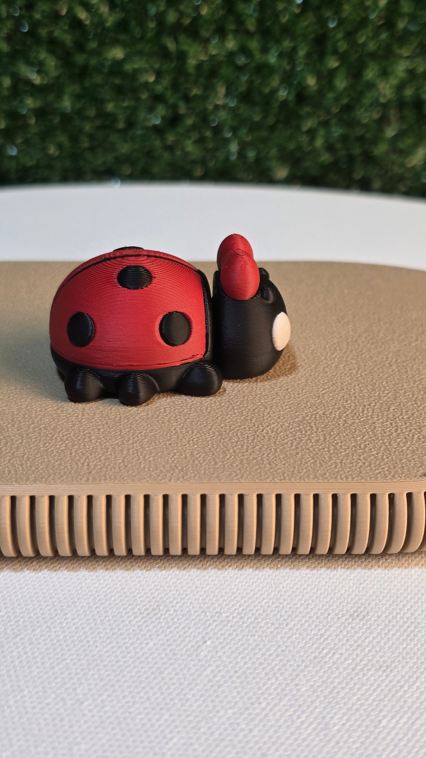 Baby Ladybug