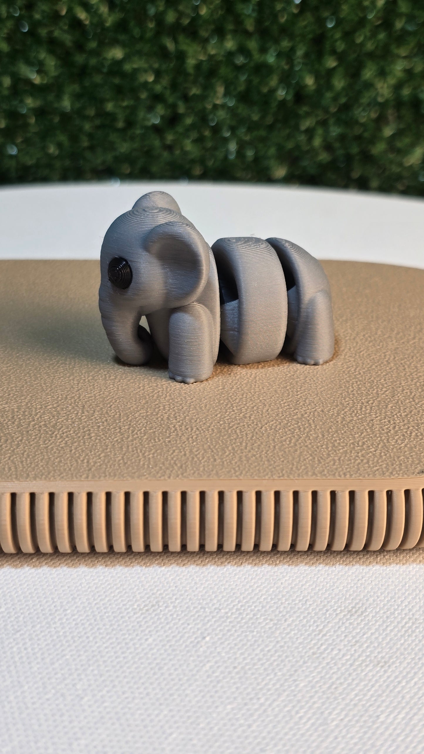 Baby Elephant