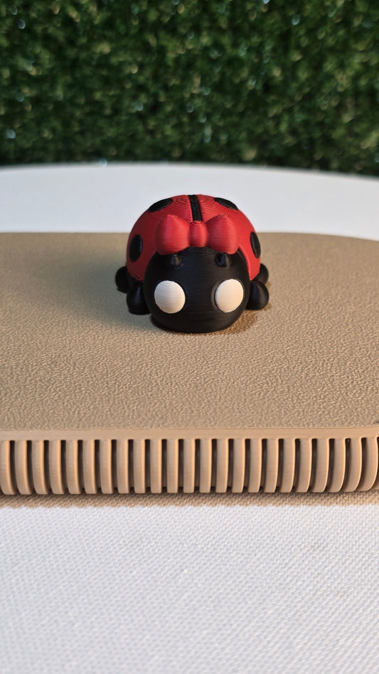 Baby Ladybug