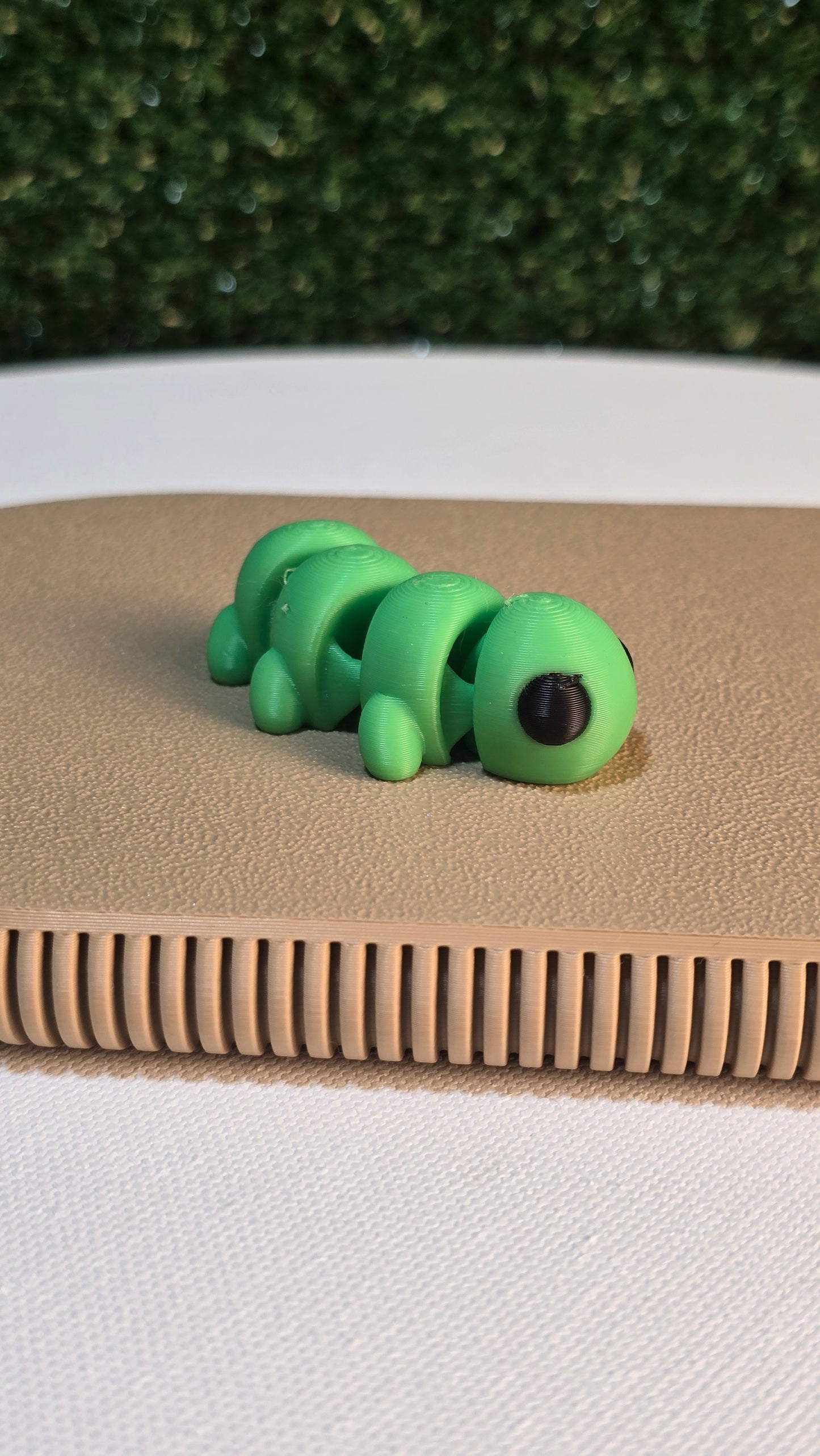 Baby Caterpillar