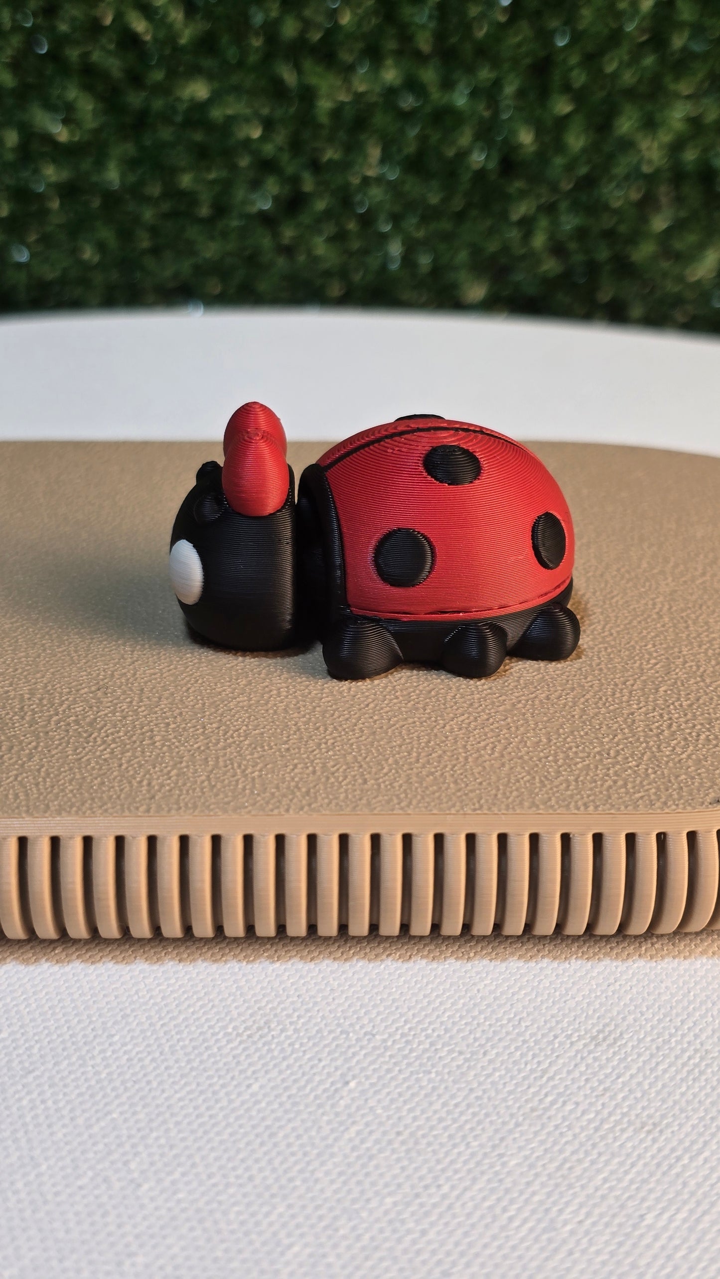 Baby Ladybug