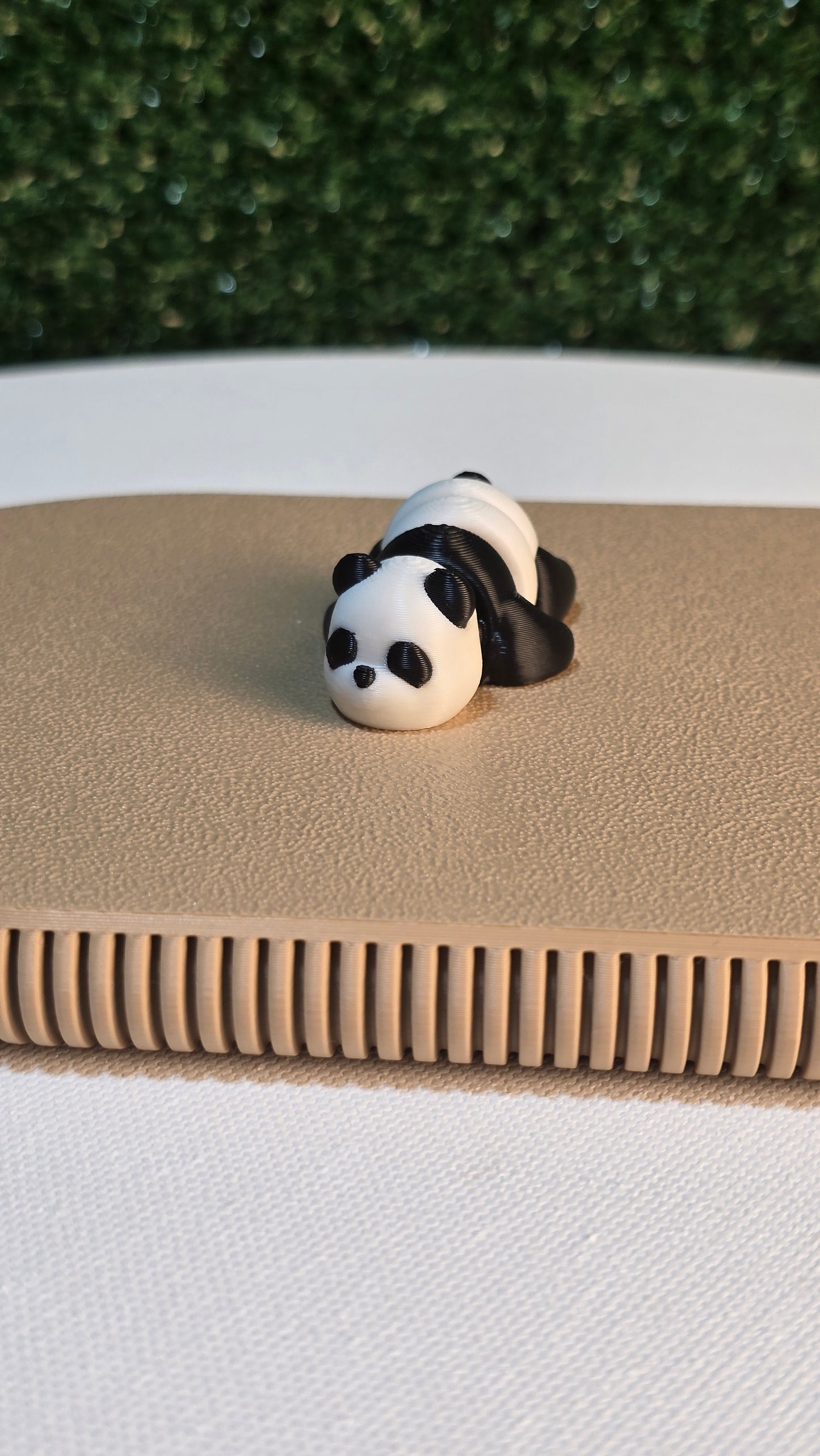 Baby Panda