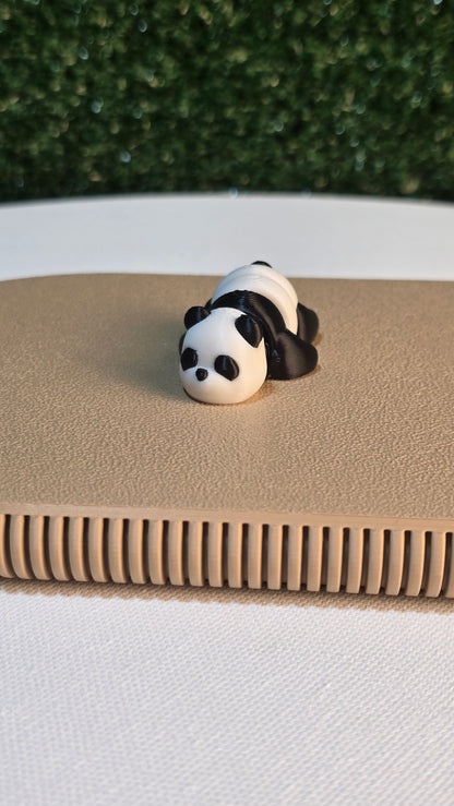 Baby Panda