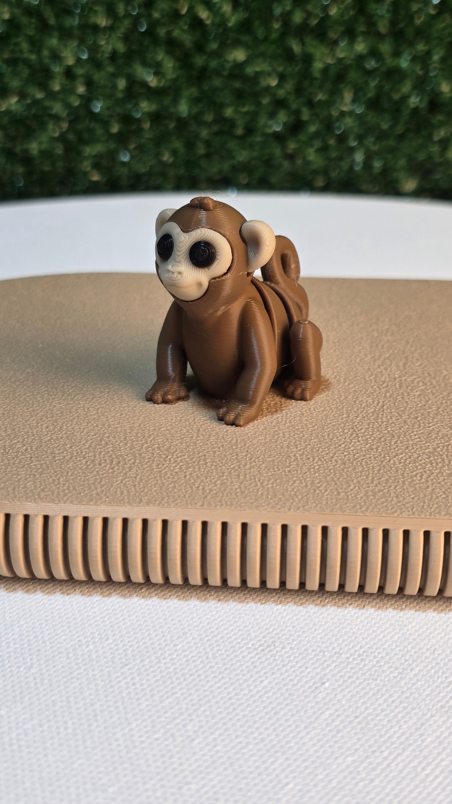 Baby Monkey