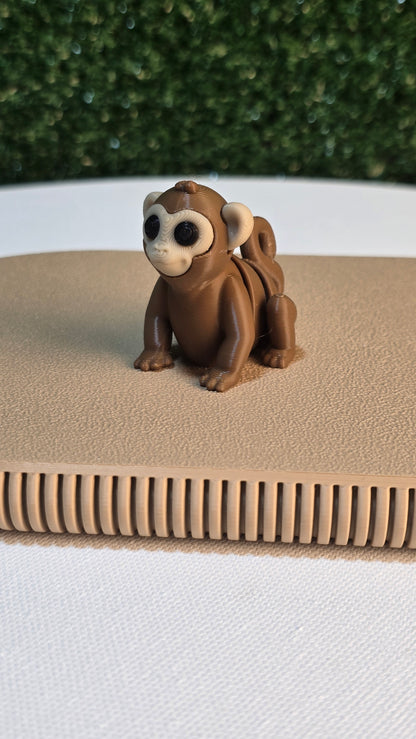 Baby Monkey