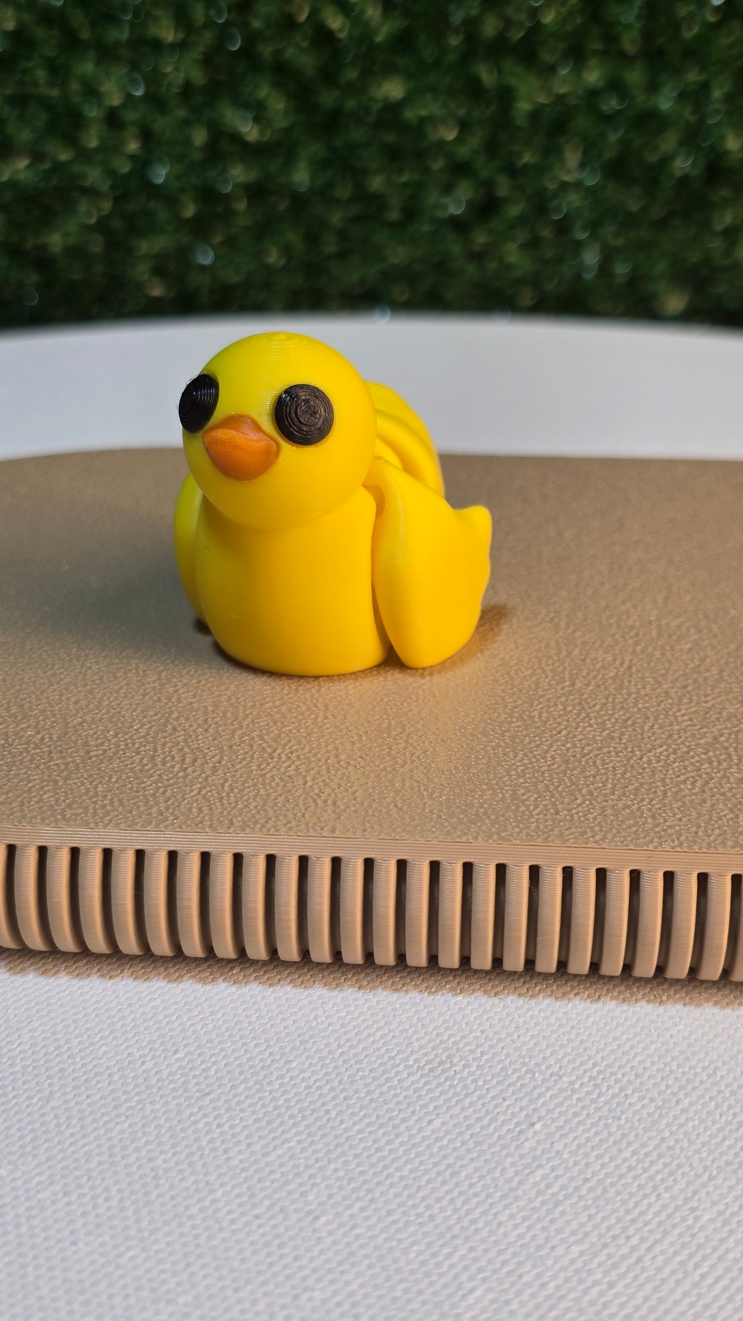 Baby Duck