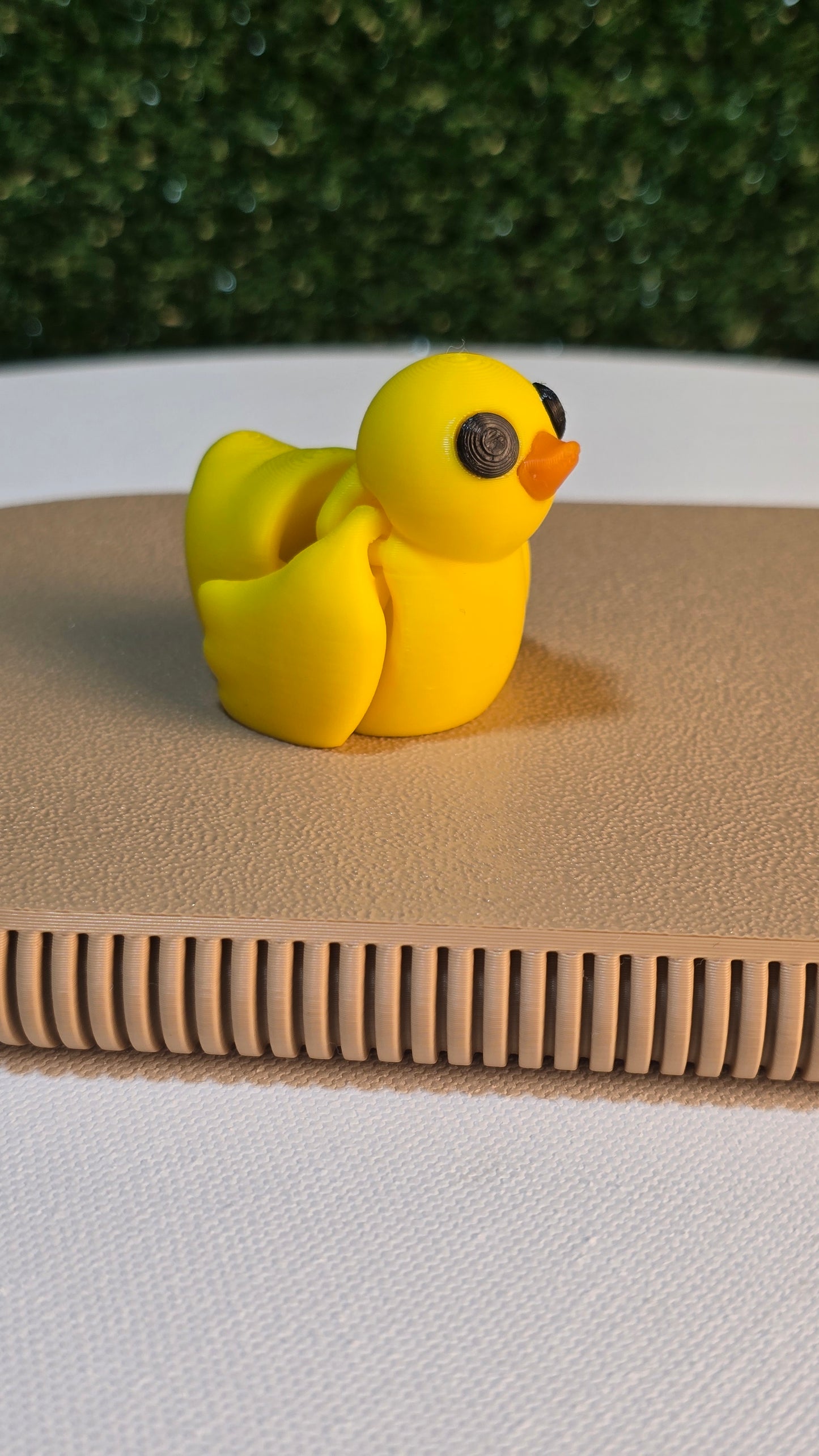 Baby Duck