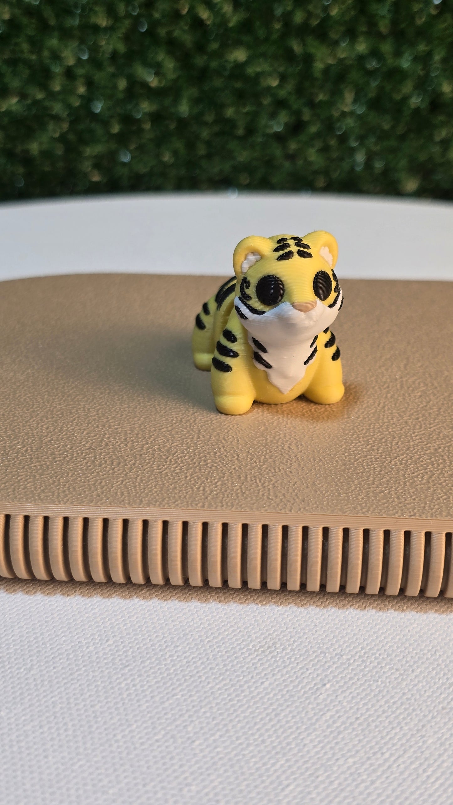 Baby Tiger