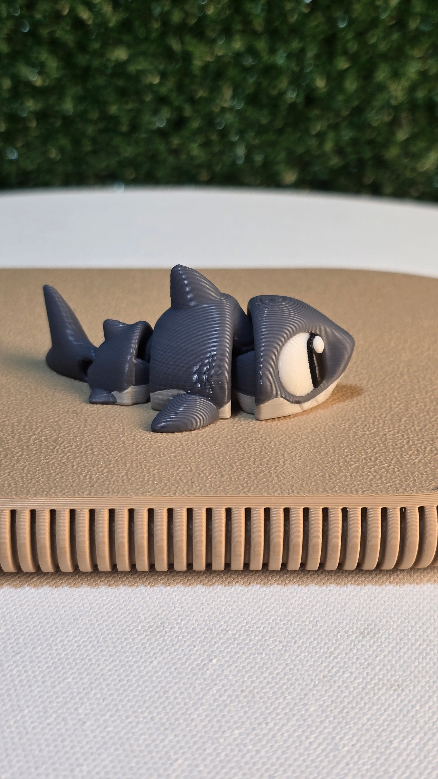 Flexi Shark