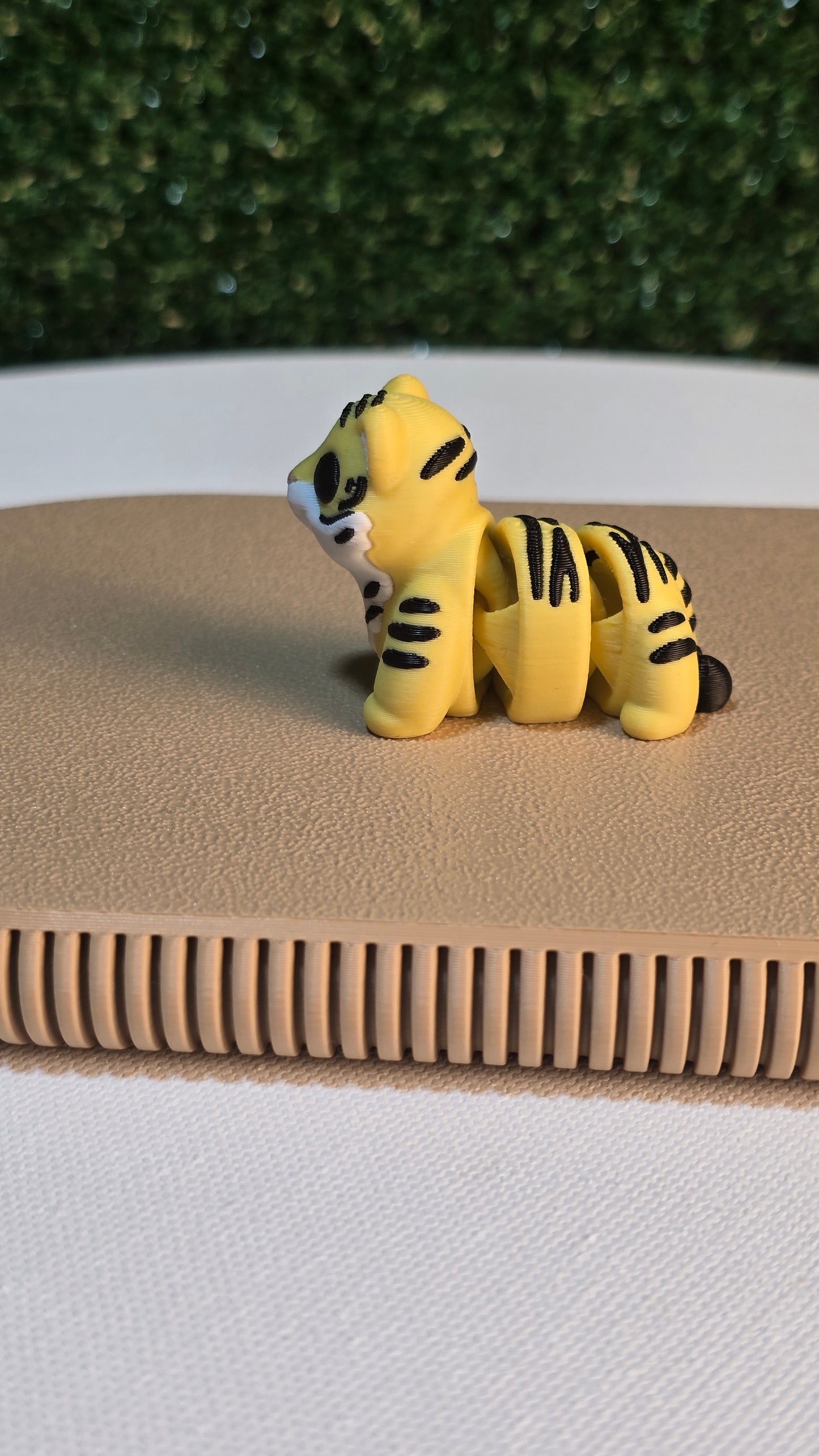 Baby Tiger