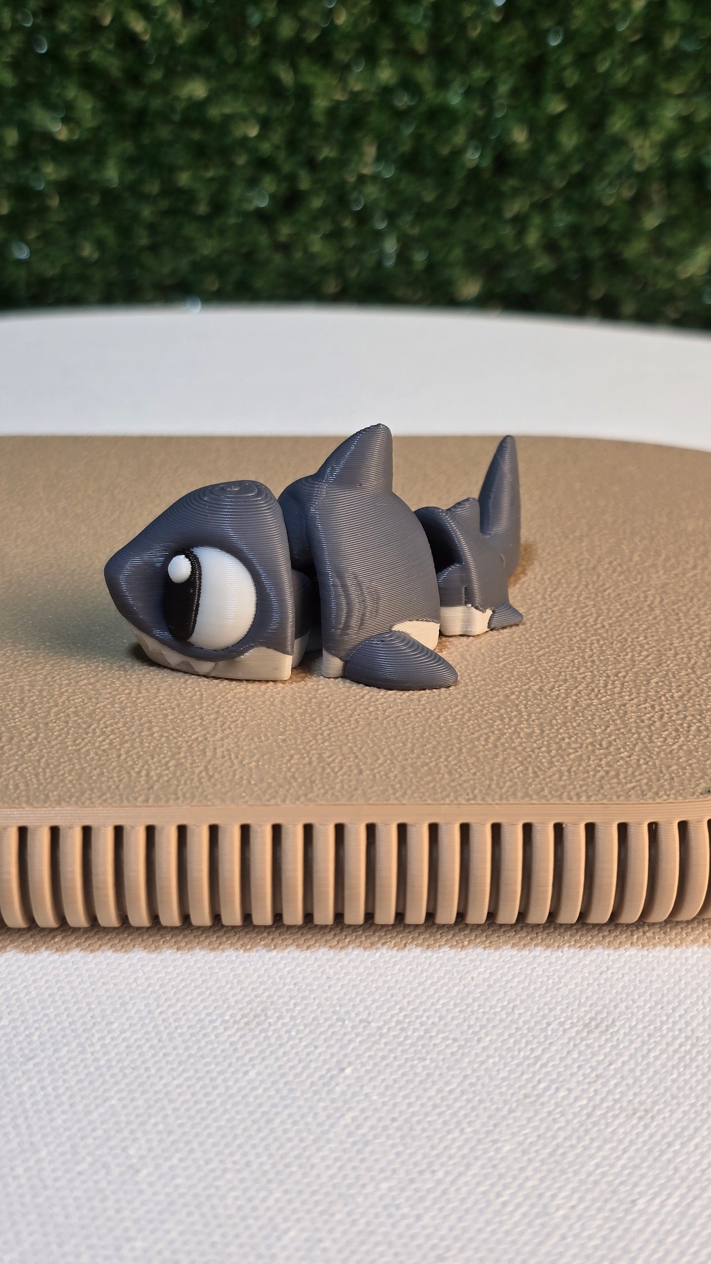 Flexi Shark