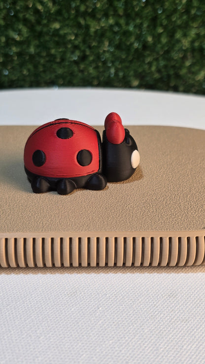 Baby Ladybug