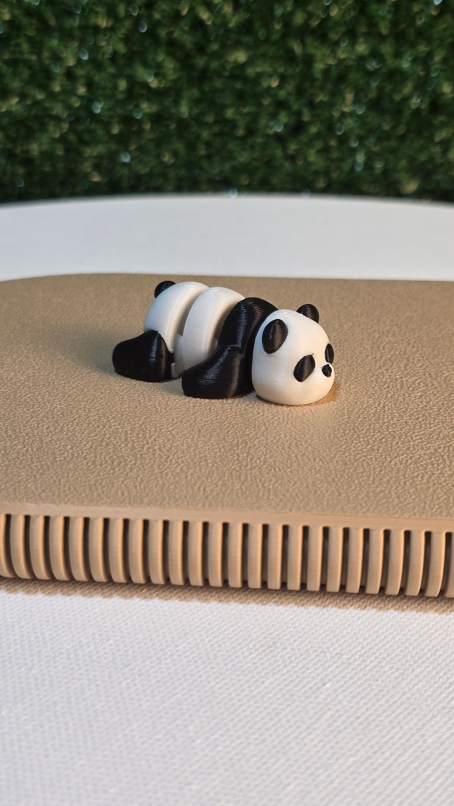 Baby Panda